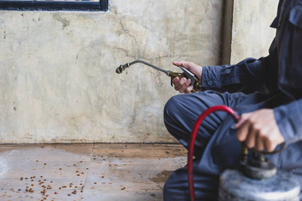 Best Best Pest Control Near Me  in Fletcher, NC